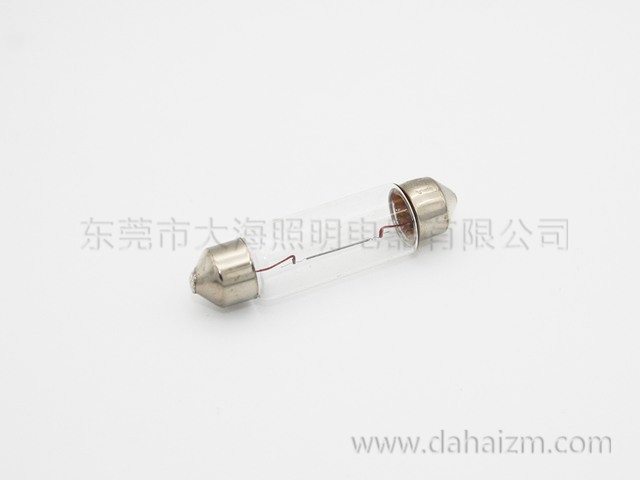 T11   双尖泡