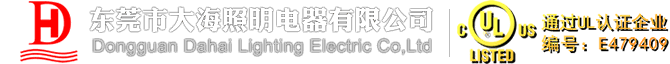 东莞市大海照明电器有限公司